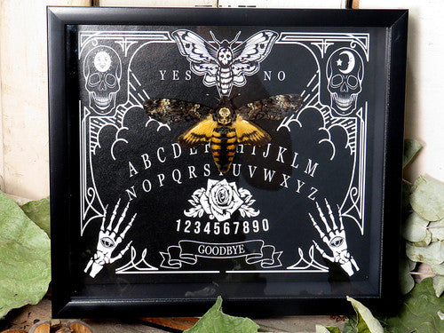 Framed Death's Head Moth (Acherontia atropos) Ouija board