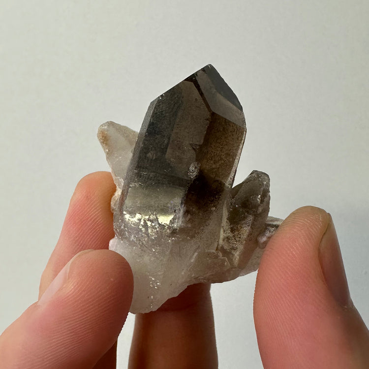 Smoky Quartz Cluster