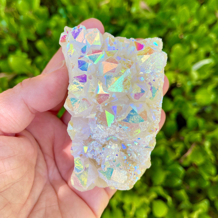 Angel Aura Cluster