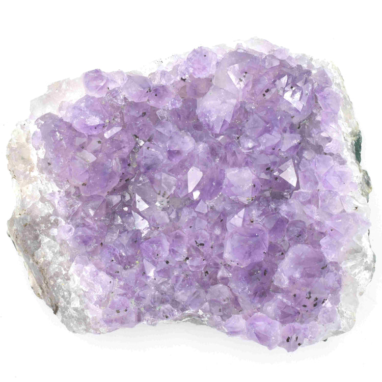 Small Amethyst Cluster with Large Points